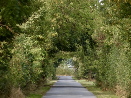 Naturresort Weserinsel image 1