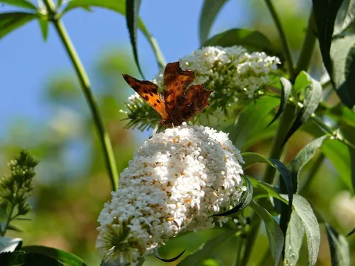 Camping Du Bas Meygnaud 3