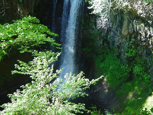 Camping du Bois de Gravière 6