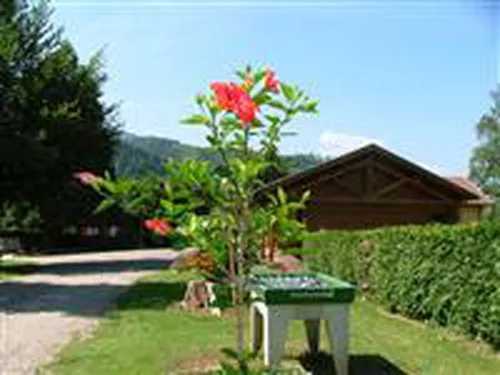 Camping Du Haut-koenigsbourg 5