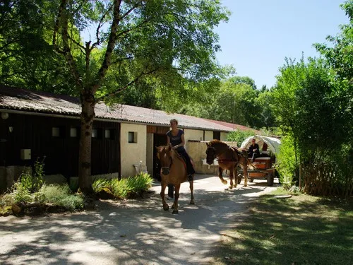 Camping du Ruisseau du Treil 5