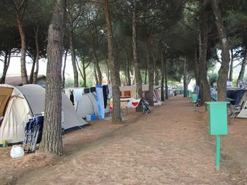 Camping Eden Park 3