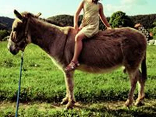 Camping Edersee Paradies 4