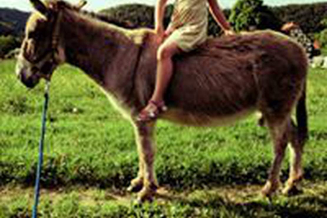 Camping Edersee Paradies 5