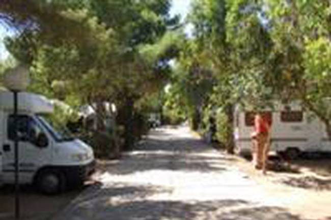 Camping Egad image 1