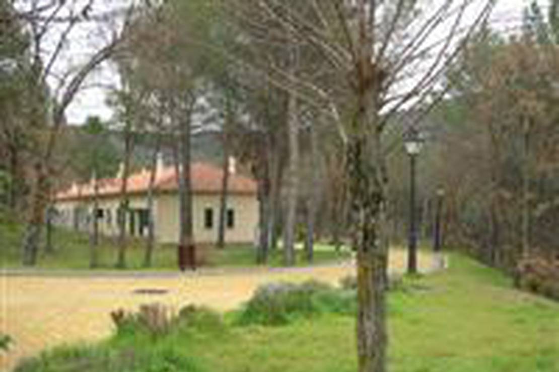 Camping el Colvillo 4