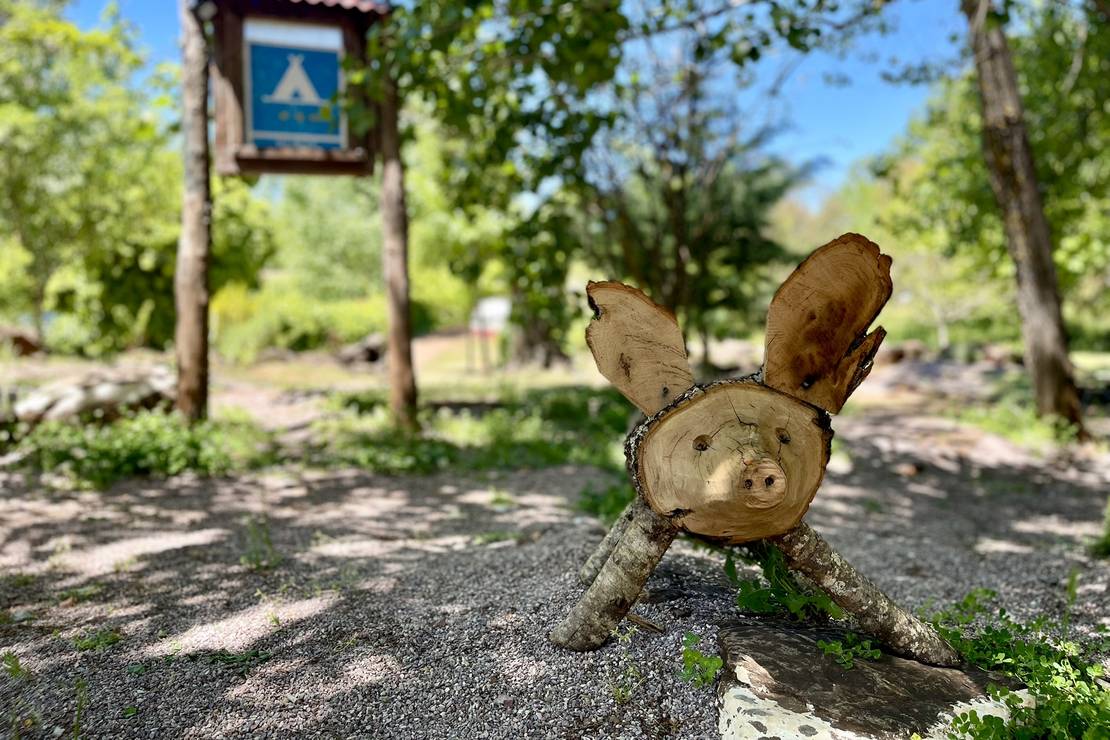 Camping el Madroñal 4