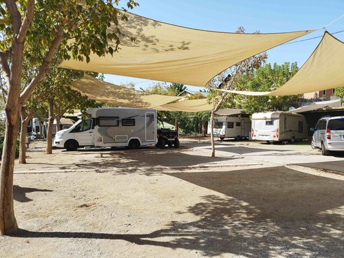 Camping el Pino image 2
