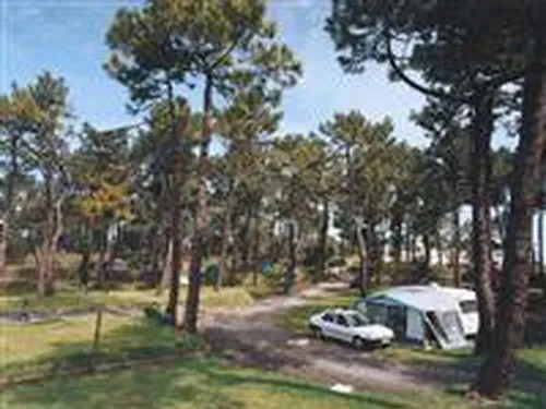 Camping El Rosal 3