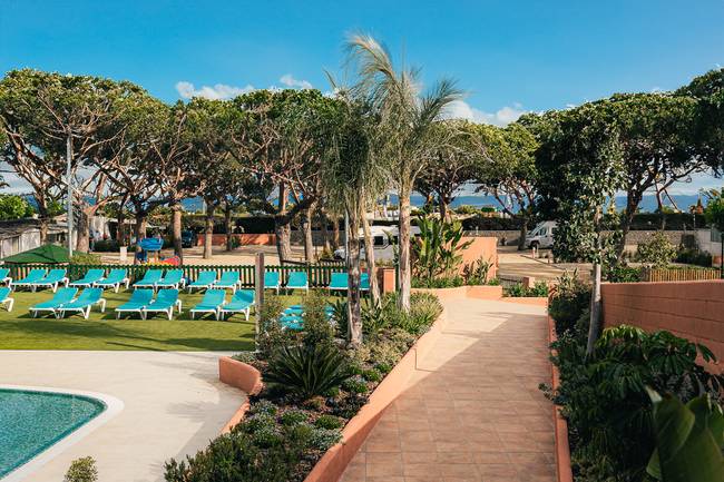 Oasis vegetal junto a la piscina