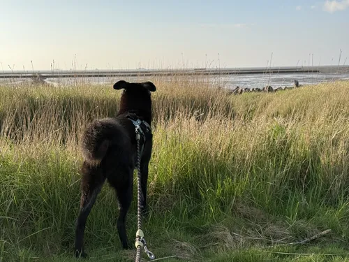 Camping Nordstrand 4