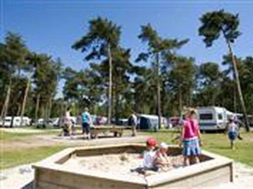 Camping en Speelpark De Heldense Bossen 7