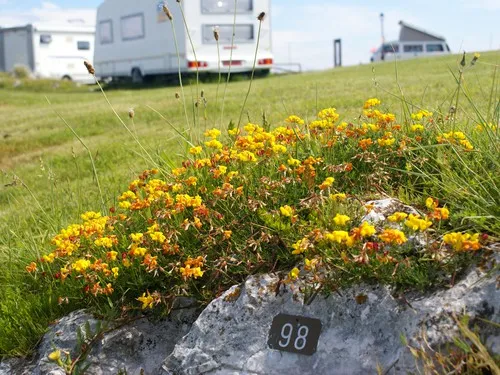 Camping Entreplayas 3