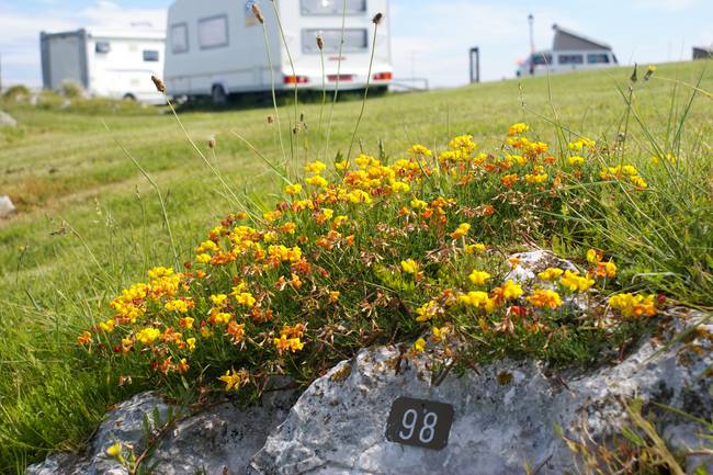 Camping Entreplayas image 0