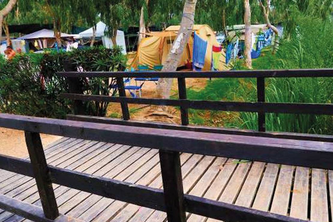 Camping Eucaliptus 4