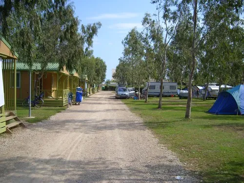 Camping Eucaliptus 5