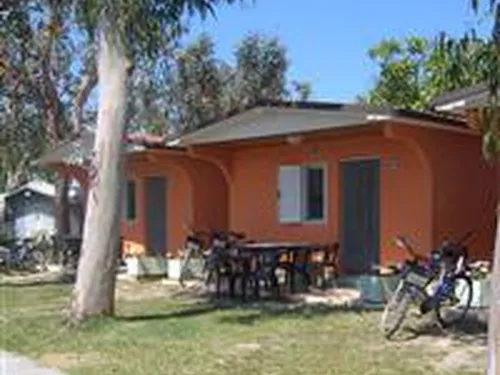 Camping Eucaliptus 3