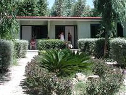 Camping Eucaliptus 5