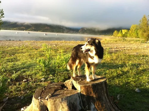 Camping Faro De Higuer 4