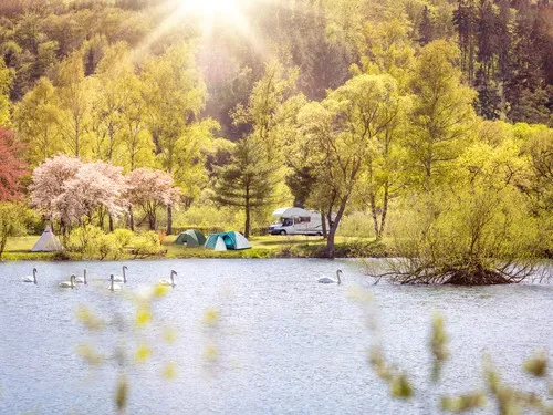 Camping- & Ferienpark Teichmann 5