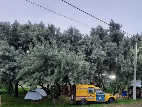 Camping Field in Nursery near Gori 3
