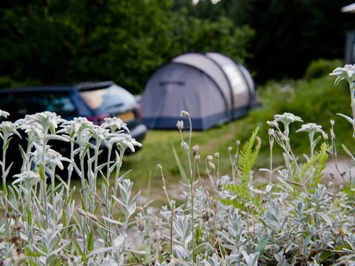 Club del Sole Val di Fiemme Easy Camping Village 6