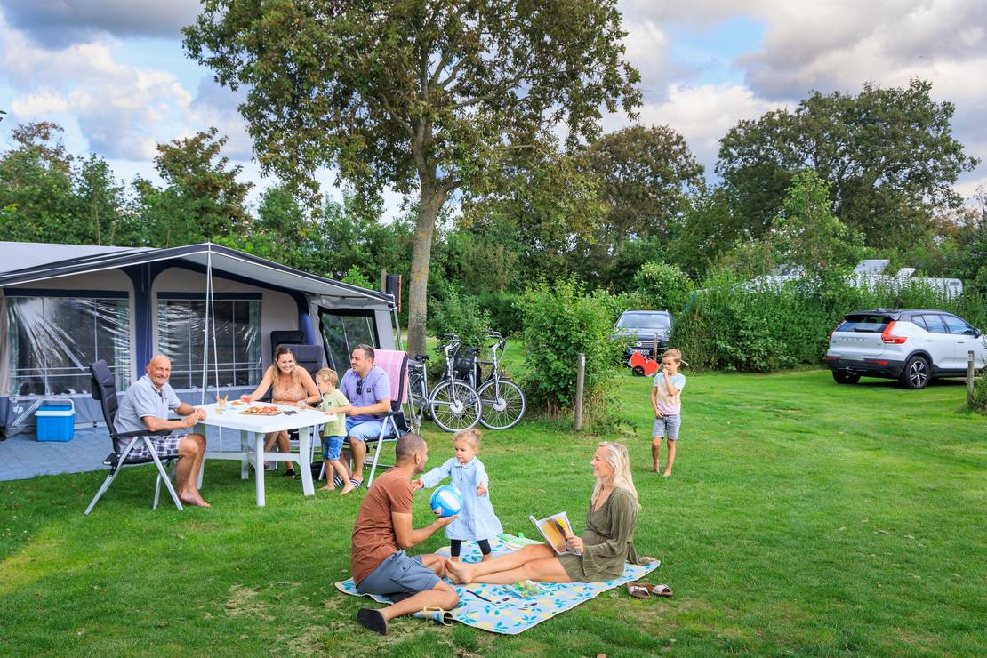 Camping Ginsterveld 4