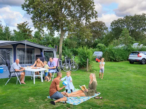 Camping Ginsterveld 3