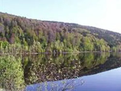 Camping Green Village 5