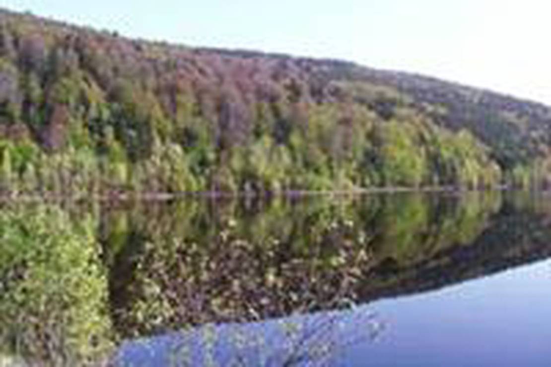 Camping Green Village 6