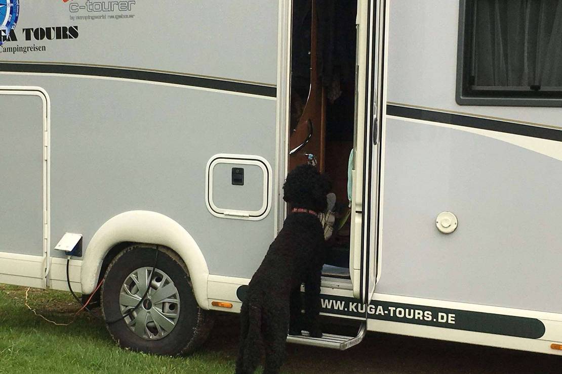 Camping Hämsaare Puhketalu 4