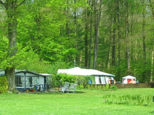 Camping Het Bosbad 3