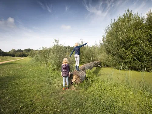 Camping het Groene Bos 5