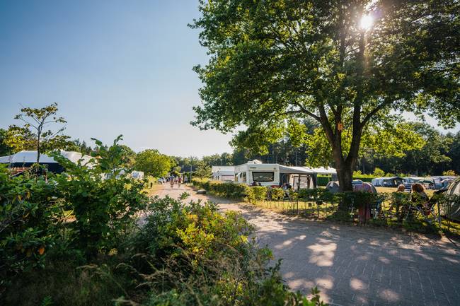 Kommen Sie zum Campen auf dem Campingplatz de Hondsrug