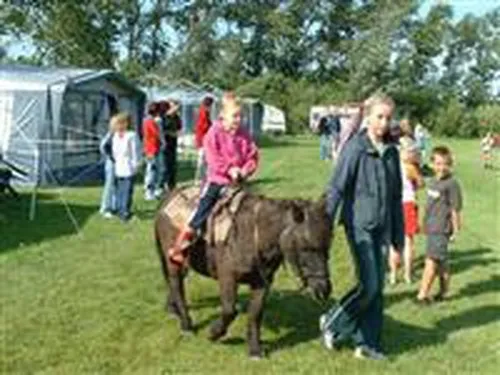 Camping Hoogelande 5