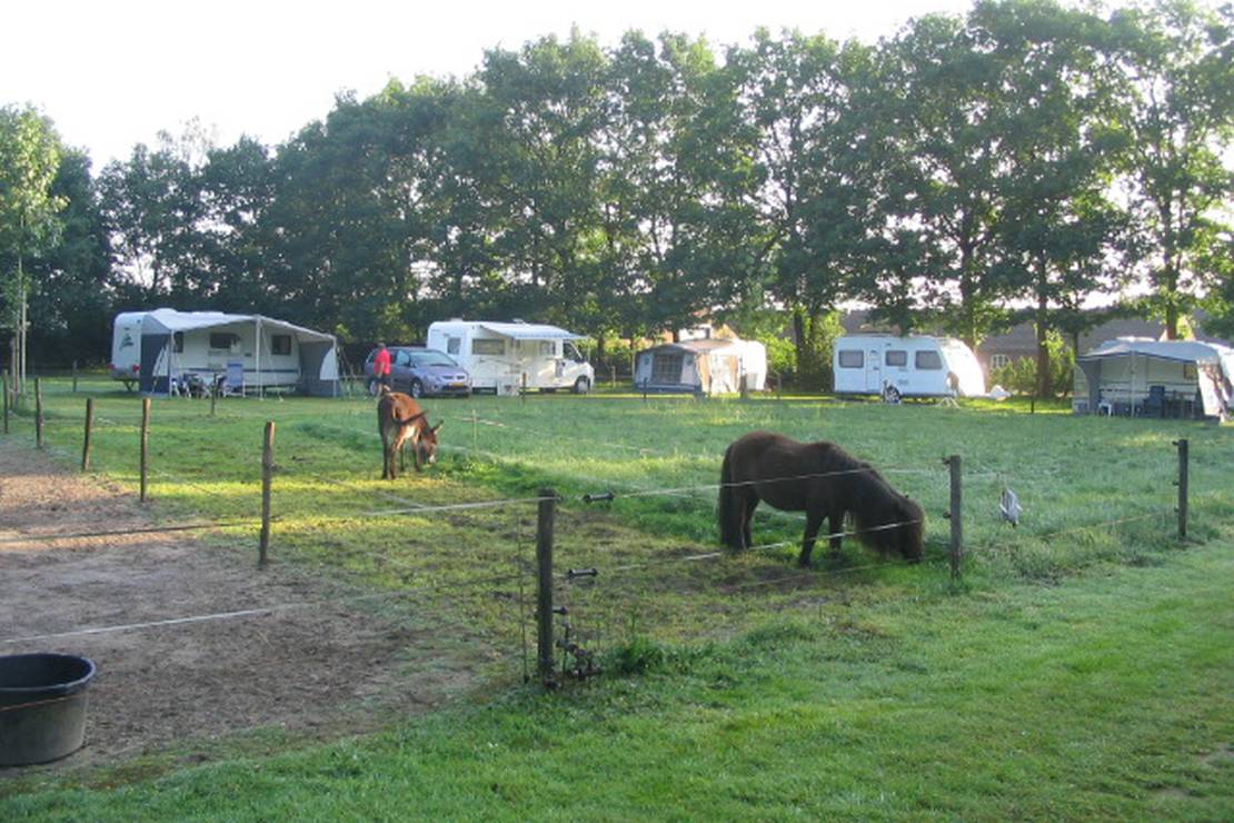 Camping Hoondert 5