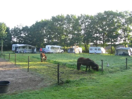 Camping Hoondert 4