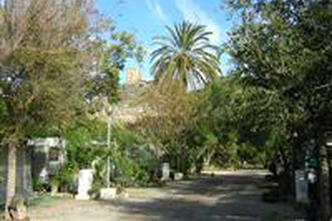 Camping Huerta Romero 7