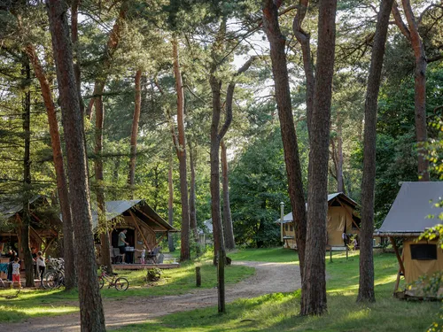 Huttopia De Veluwe 3