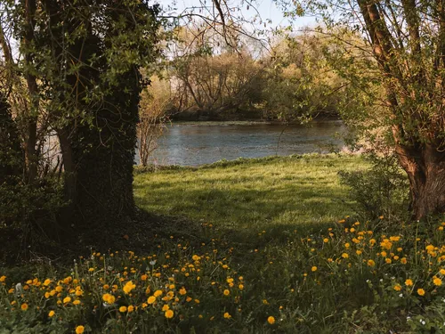 Friday im Edertal - Naturcampingplatz 5