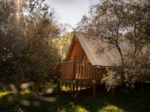 Camping il Bosco di Marino 3