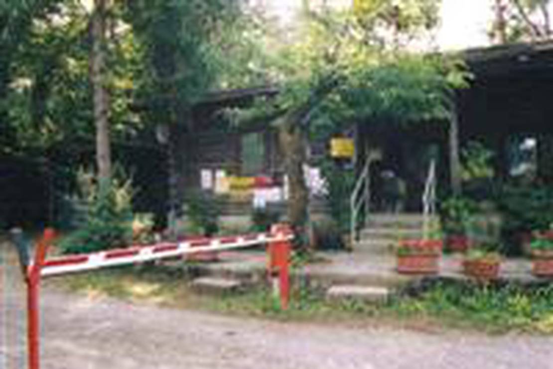 Camping Il Castagneto 4