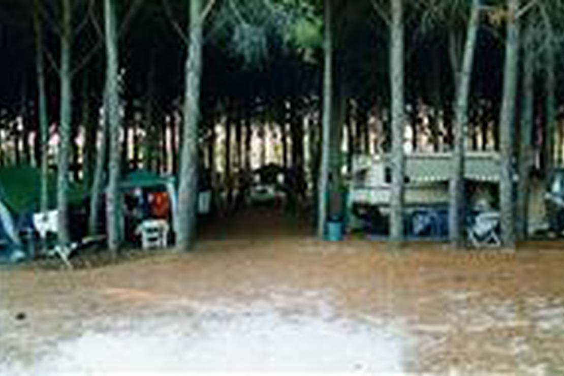 Camping Il Grecale 4