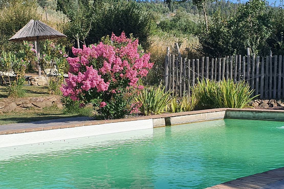 Camping Il Saregeto 4