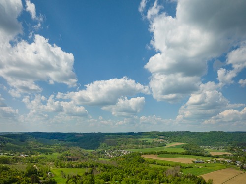 Camping im Eichenwald image 1