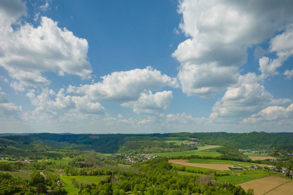 Camping im Eichenwald 6