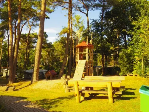 Camping In de Rimboe 5