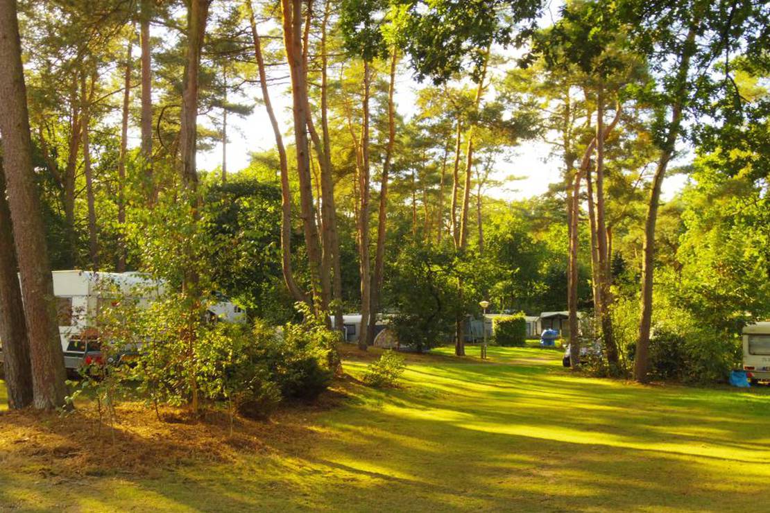 Camping In de Rimboe 4