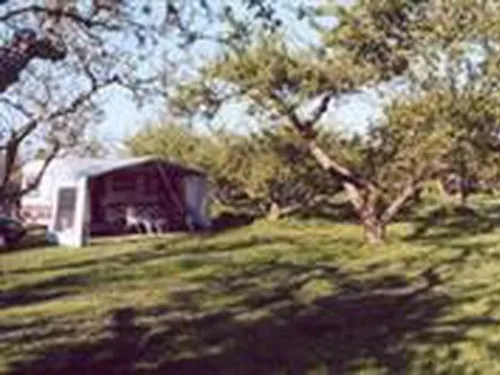 Camping In het Fruit 3