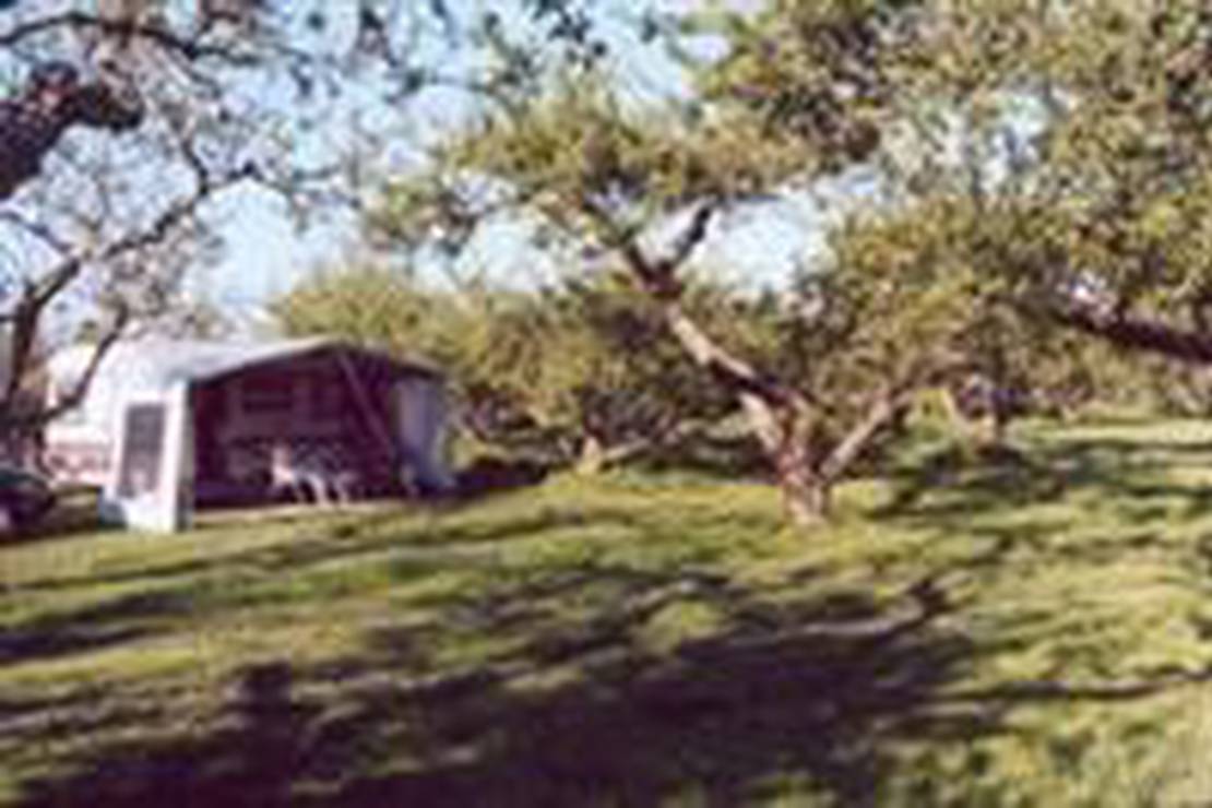 Camping In het Fruit 4